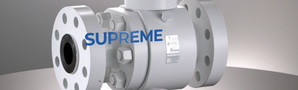 進(jìn)口閥門(mén)選型寶典